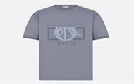 DIOR 493J642A0817 男士灰色 宽松版型 T恤