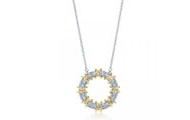 Tiffany/蒂芙尼 黄色钻石 Sixteen Stone 圈形项链 60022678